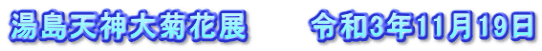 湯島天神大菊花展　　　令和3年11月19日