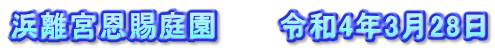 浜離宮恩賜庭園　　　令和4年3月28日