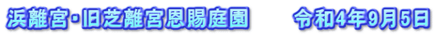 浜離宮・旧芝離宮恩賜庭園　　　令和4年9月5日