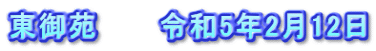 東御苑　　　令和5年2月12日