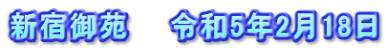 新宿御苑　　令和5年2月18日