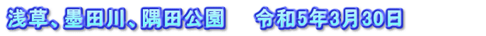 浅草、墨田川、隅田公園　　令和5年3月30日　　　　　