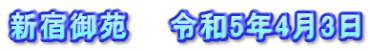 新宿御苑　　令和5年4月3日