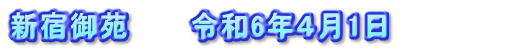 新宿御苑　　　令和6年４月1日　　　　　　