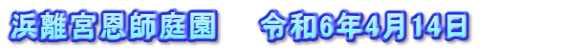 浜離宮恩師庭園　　令和6年4月14日　　　　　